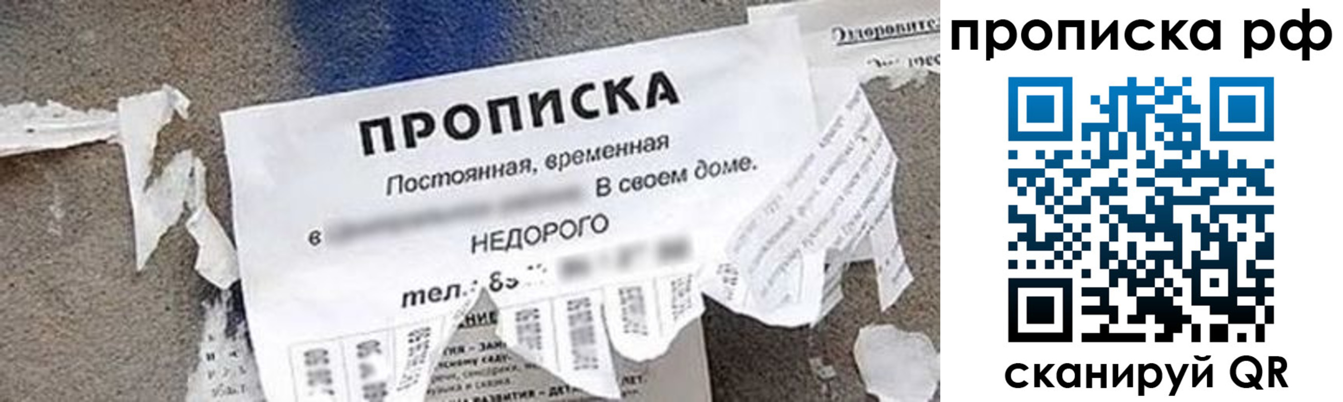 где прописаться в Черногорске